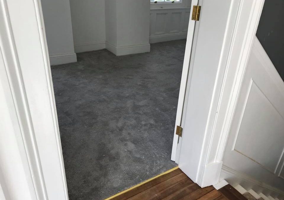 What are the Psychological Benefits of Installing Carpet Flooring Solutions?